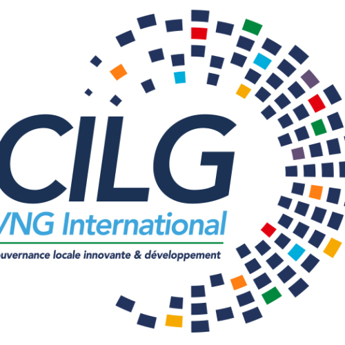 Grant manager -CILG-VNG  International 
