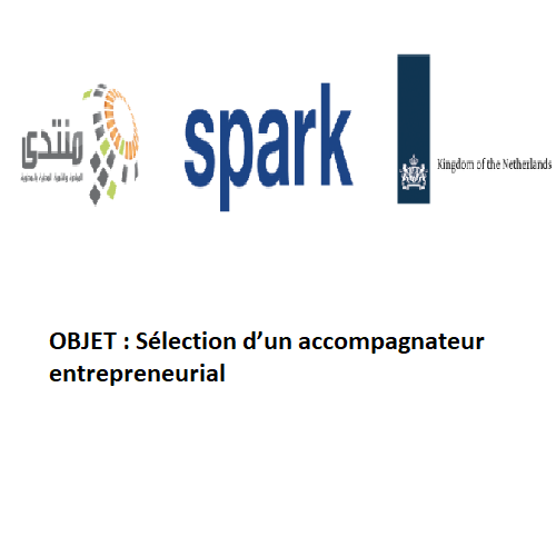 Accompagnateur entrepreneurial  -FIDEL & Spark