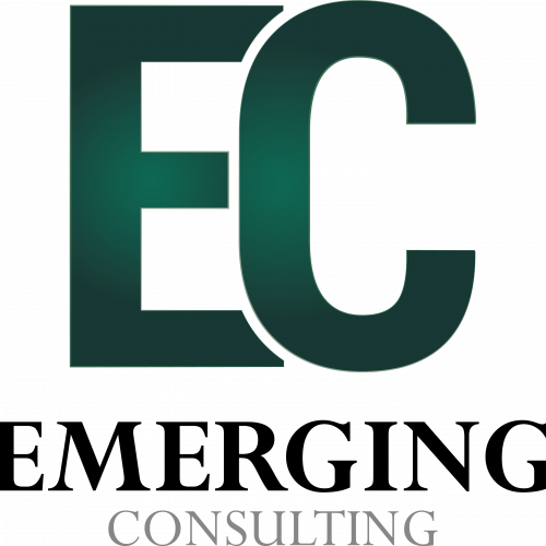 Project coordinator (full-time)-Emerging Consulting
