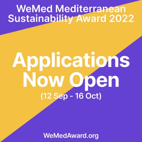 WeMed Award 2022