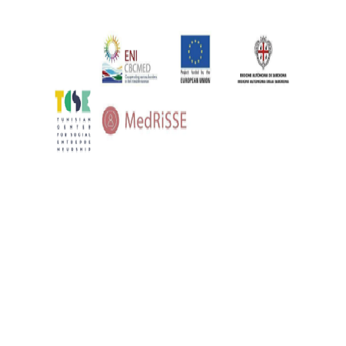 Audit Financier” Projet Medrisse”-TCSE