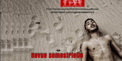 FTDES : Revue semestrielle de la justice environnementale
