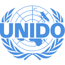 Business & Investment Specialist- UNIDO