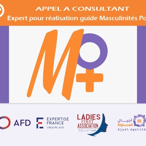 Un-e consultant-e /expert (e)-Association Ladies First