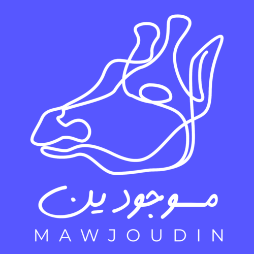 L’initiative Mawjoudin pour l’égalité