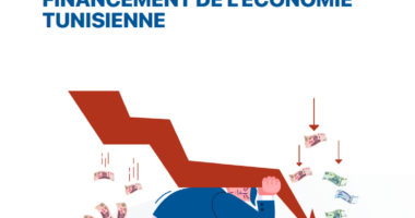 ÉTUDE : La Problématique du financement de l’économie tunisienne – FTDES