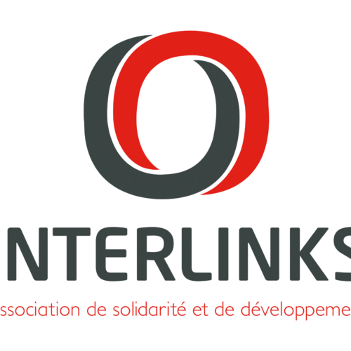 Un formateur en Citoyenneté et expression artistique-Association Interlinks