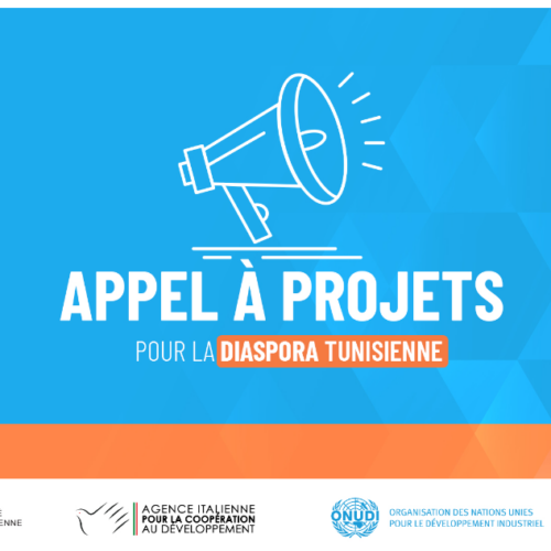 Appel à Propositions de Projets pour la Diaspora Tunisienne-ONUDI