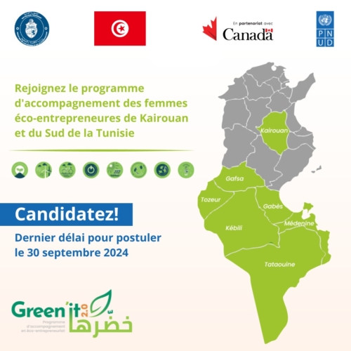 Programme de d’appui aux Femmes entrepreneures-PNUD