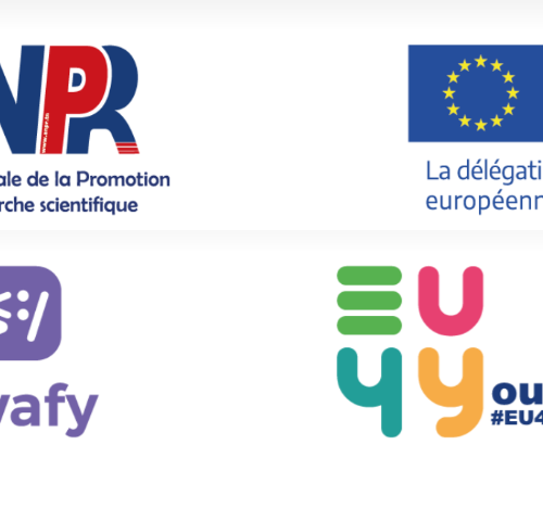 Experts assesseurs-Le projet SWAFY 