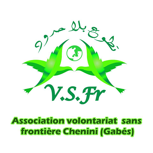 Audit financier et comptable-VSFR