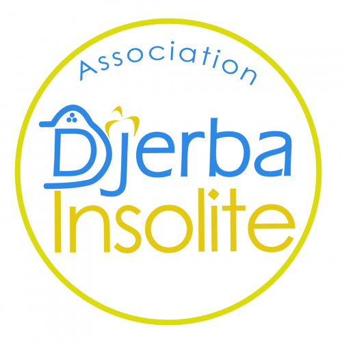 Expert(e) en Marketing digitale-Djerba Insolite