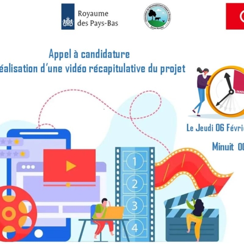 Appel à candidature : Réalisation d’une vidéo récapitulative du projet-ADID