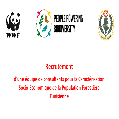 Recrutement d’une équipe de consultants – WWF