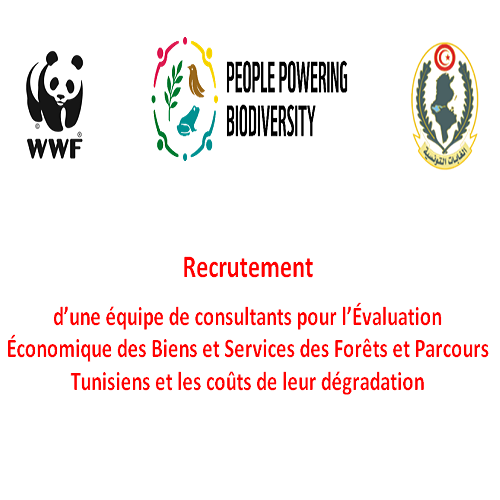 Recrutement d’une équipe de consultants pour une évaluation économique – WWF