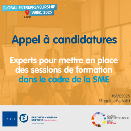 Experts/formateurs-IACE