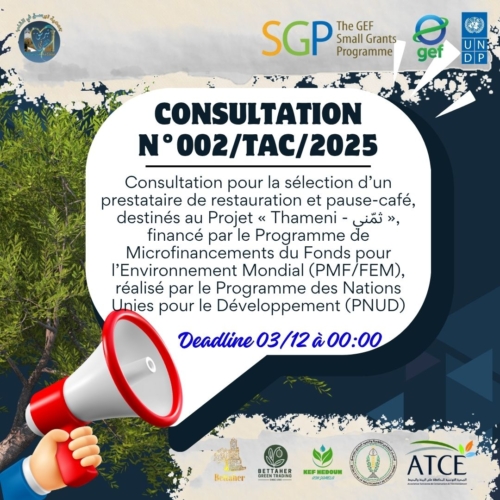 Appel d’offre-Association Téboursouk Au Cœur