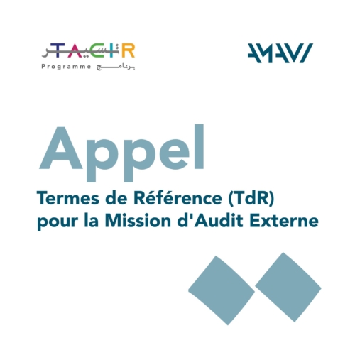 Audit Externe-AMAVI
