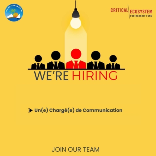 Un(e) chargé(e) en communication-AKDDCL