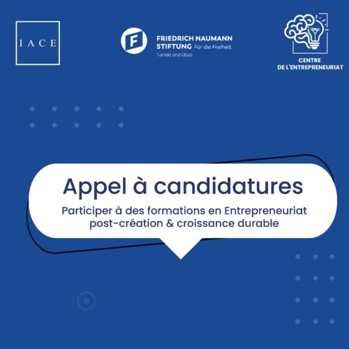 Appel à candidatures| Participer à des formations en Entrepreneuriat post-création & croissance durable -IACE