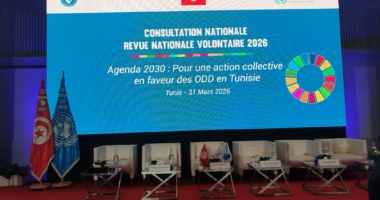 الاستشارة الوطنية للمراجعة الوطنية الطوعية 2026