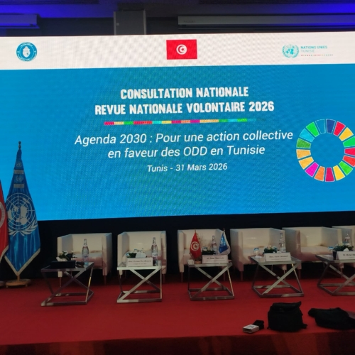 الاستشارة الوطنية للمراجعة الوطنية الطوعية 2026