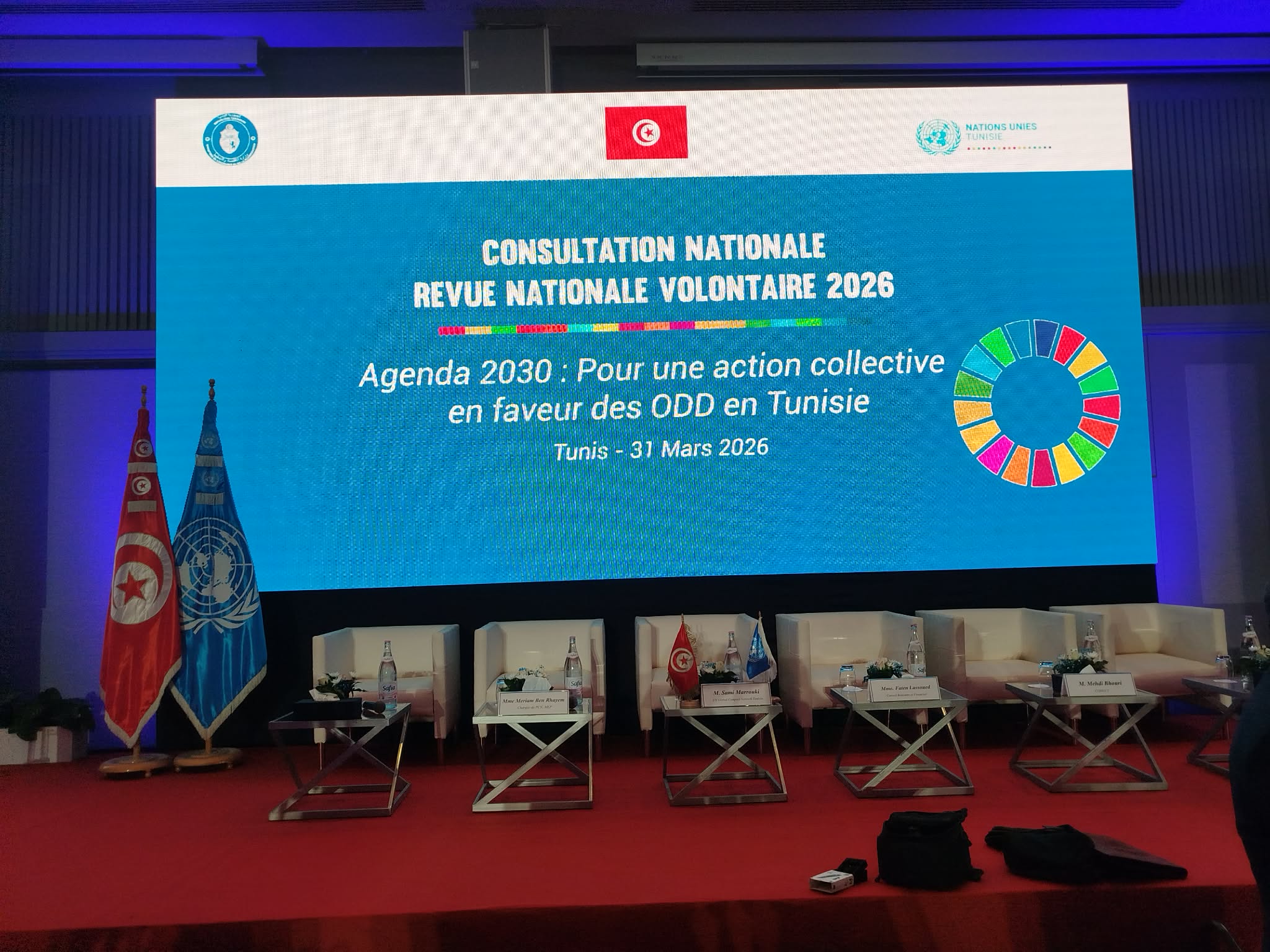 الاستشارة الوطنية للمراجعة الوطنية الطوعية 2026