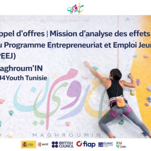 Appel d’offre/ Mission d’analyse des effets du programme Entreprenariat et Emploi Jeunes(PEEJ)-Maghroumi’In/EU4Youth Tunisie 