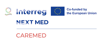 Un consultant en gestion-Projet CAREMED
