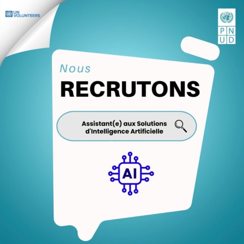 Assistant(e) aux Solutions d’Intelligence Artificielle-PNUD